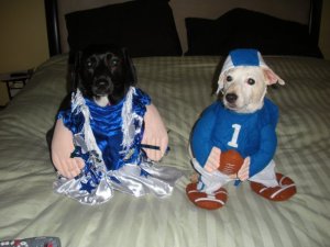 Disclaimer: I only made them wear costumes for this photo, and they were rewarded with hot dog pieces.