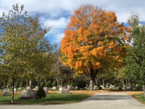 Beautiful fall day in the cemetery.