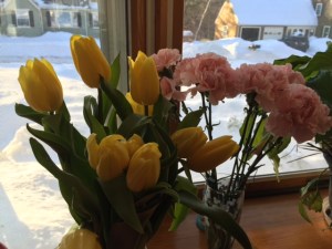 They look quite lovely against the white backdrop, no?