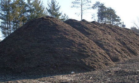 mulch-pile-1